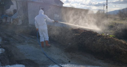 Elazığ’da Haşerelere Karşı Alarm: Bahar Gelmeden Larva Mücadelesi Başladı