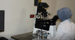 Elazığ’da Tüp Bebekte Dikkat Çeken Başarı: Oran %55’e Ulaştı