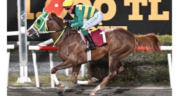 Elazığ Jandarma Koşusu’nu Herzaman Kazandı