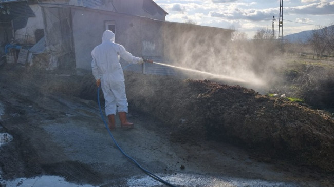 Elazığ’da Haşerelere Karşı Alarm: Bahar Gelmeden Larva Mücadelesi Başladı