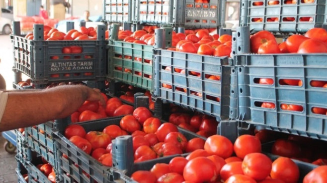 Domates Fiyatları Sosyal Medyada Gündem Oldu