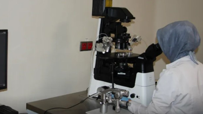 Elazığ’da Tüp Bebekte Dikkat Çeken Başarı: Oran %55’e Ulaştı