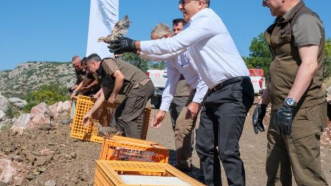 Karaman’da Doğaya 400 Kınalı Keklik Takviyesi