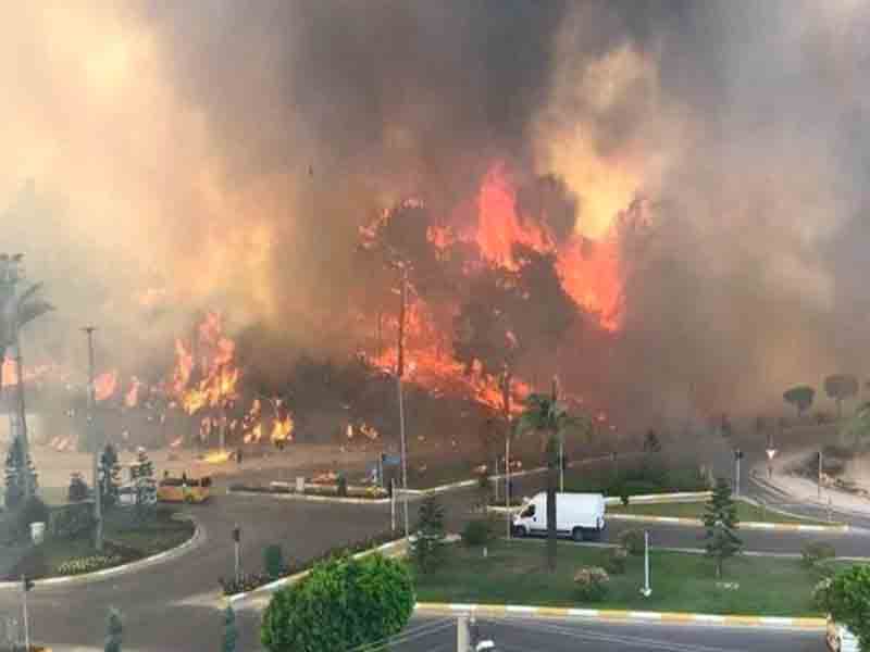 Manavgat/Antalya Orman Yangını Değerlendirme Raporu
