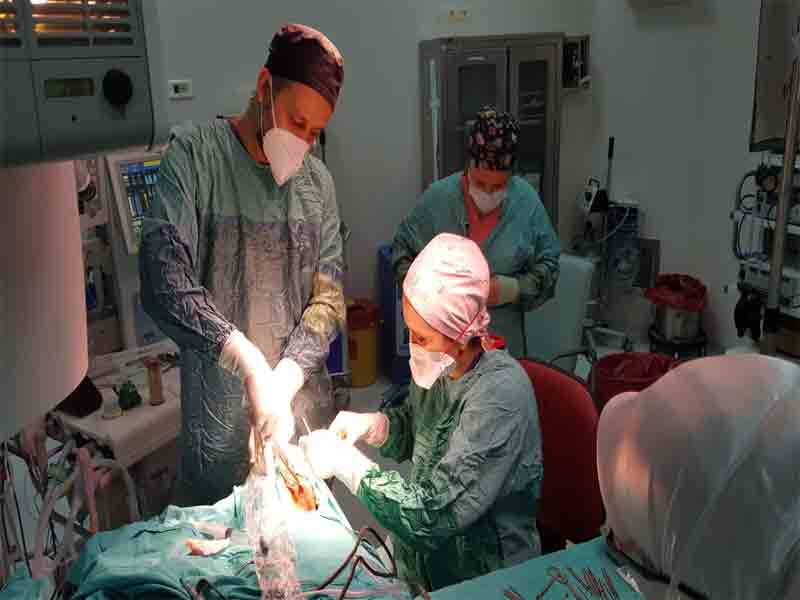 MTÜ’den Koklear implantasyon Operasyonu