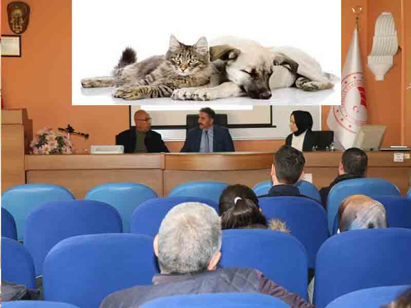 Elazığ’da Kedi, Köpek ve Gelinciklere “Pasaport ve Mikroçip” Zorunluluğu Getirildi