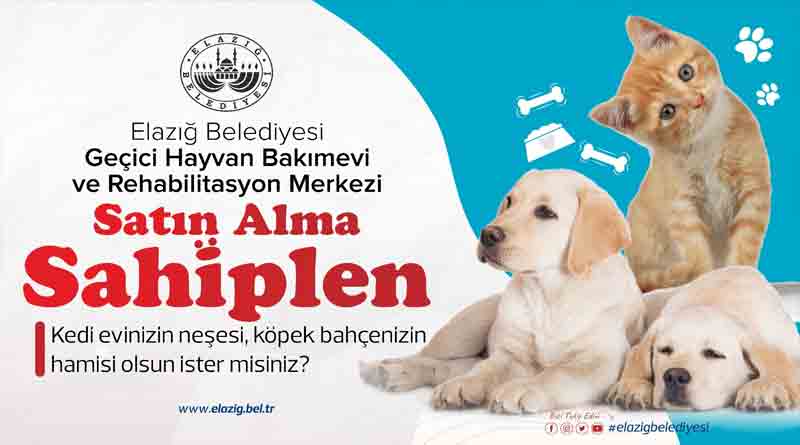 Elazığ Belediyesinden sokak hayvanları için önemli bir çalışma