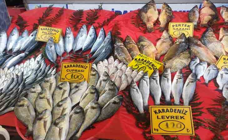 Elazığ kapalı çarşıda balıkçılık yapan esnaf balık fiyatlarını değerlendirdi