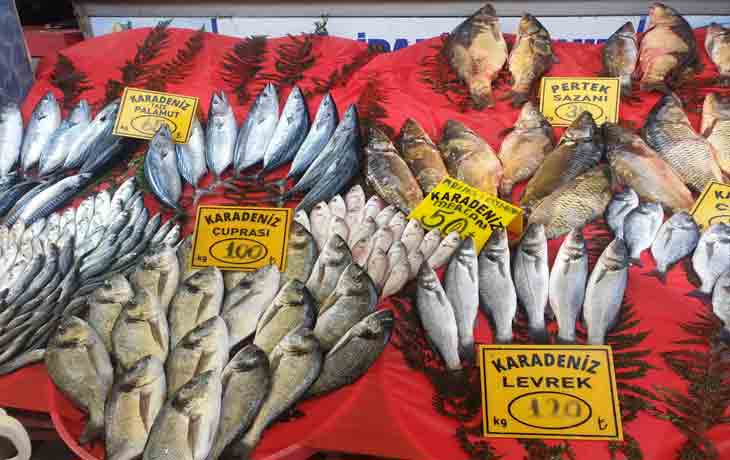 Elazığ kapalı çarşıda balıkçılık yapan esnaf balık fiyatlarını değerlendirdi