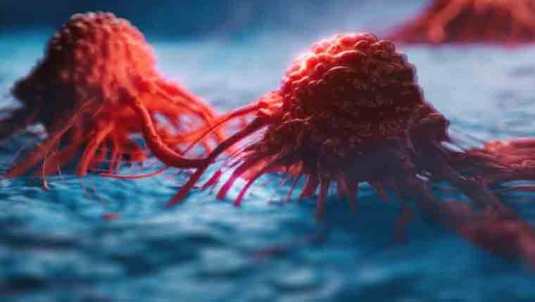 Türk Bilim İnsanları, Karaciğer Kanseri Tedavisinde Etkili Olan Yeni Bir Molekül Keşfetti ! sağlık haberleri