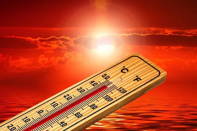 2024 Tarihteki En Sıcak Yıl Olabilir!