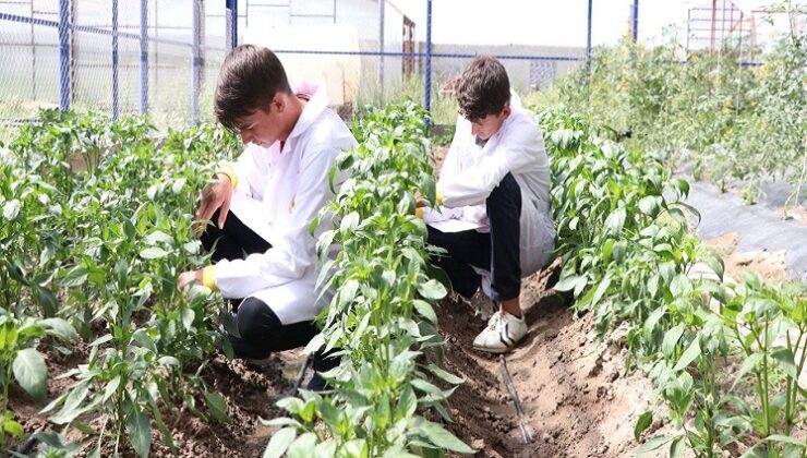 Sürdürülebilir Tarım Eğitimi: Liselerde Yeni Ders