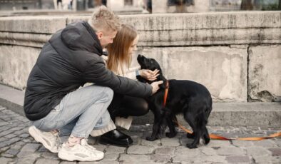 AK Parti’nin Sokak Köpeklerinin Uyutulması Teklifine Tepkiler Çığ Gibi !